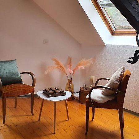 Apartmán Loft Gaia Brunstatt-Didenheim Exteriér fotografie