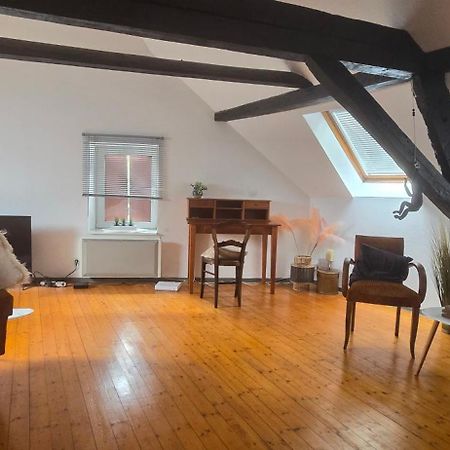 Apartmán Loft Gaia Brunstatt-Didenheim Exteriér fotografie