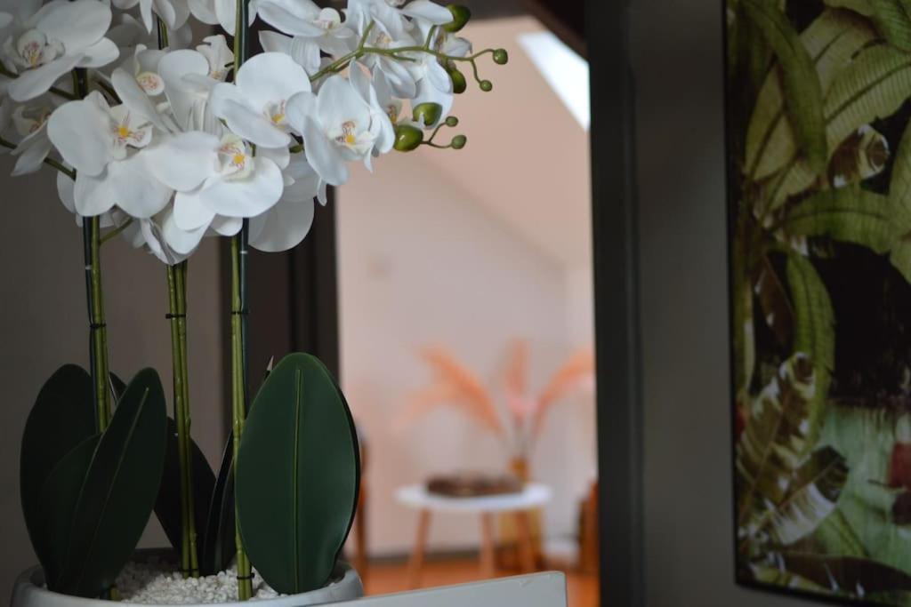 Apartmán Loft Gaia Brunstatt-Didenheim Exteriér fotografie